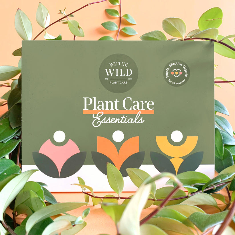 Essential Plant Care Kit - Magnolia Acre Co.