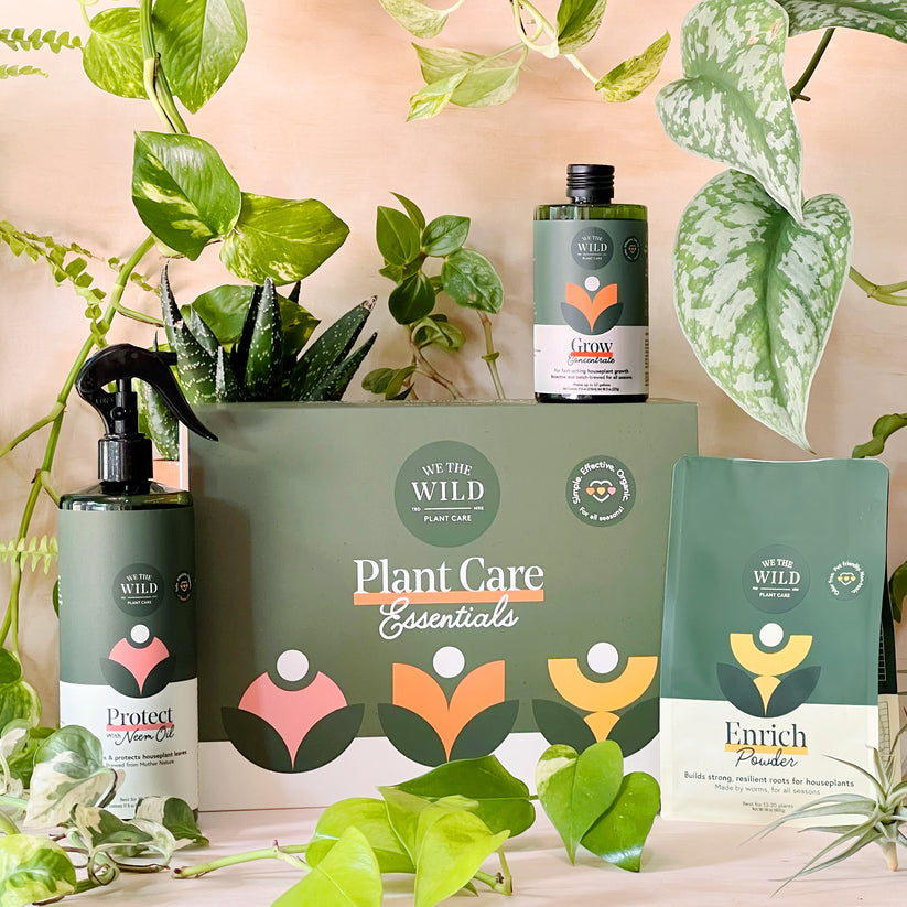 Essential Plant Care Kit - Magnolia Acre Co.